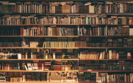 उदासी की चादर: दिल को छू लेने वाली शायरी